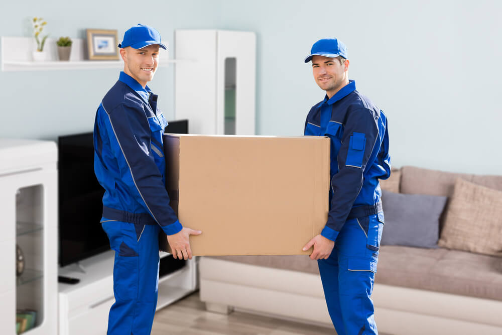 Moving Company