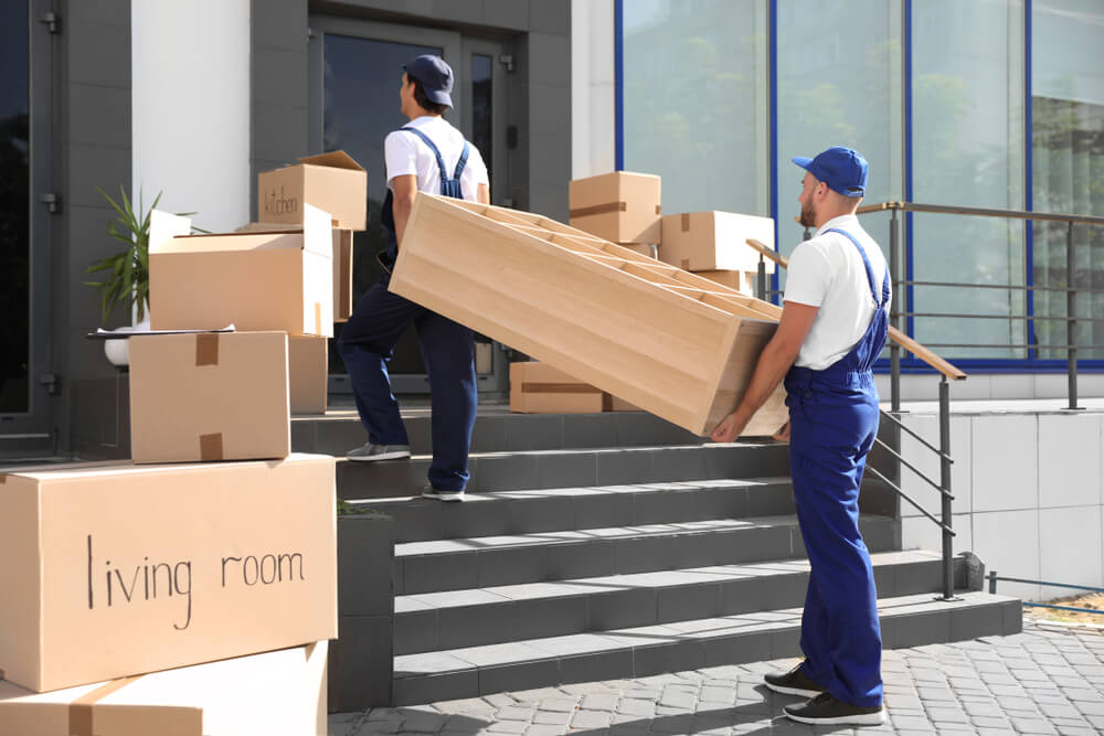 Professional Movers